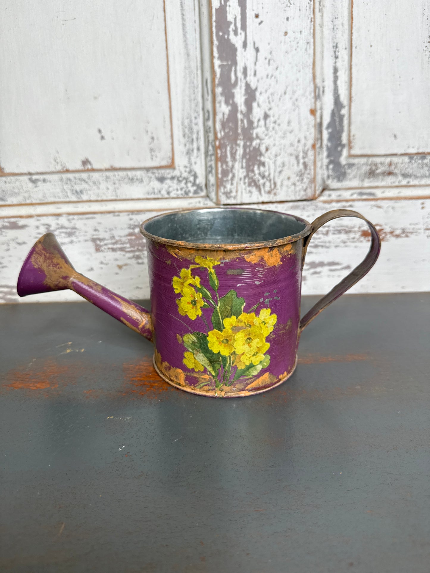 Painted Watering Can (A1)