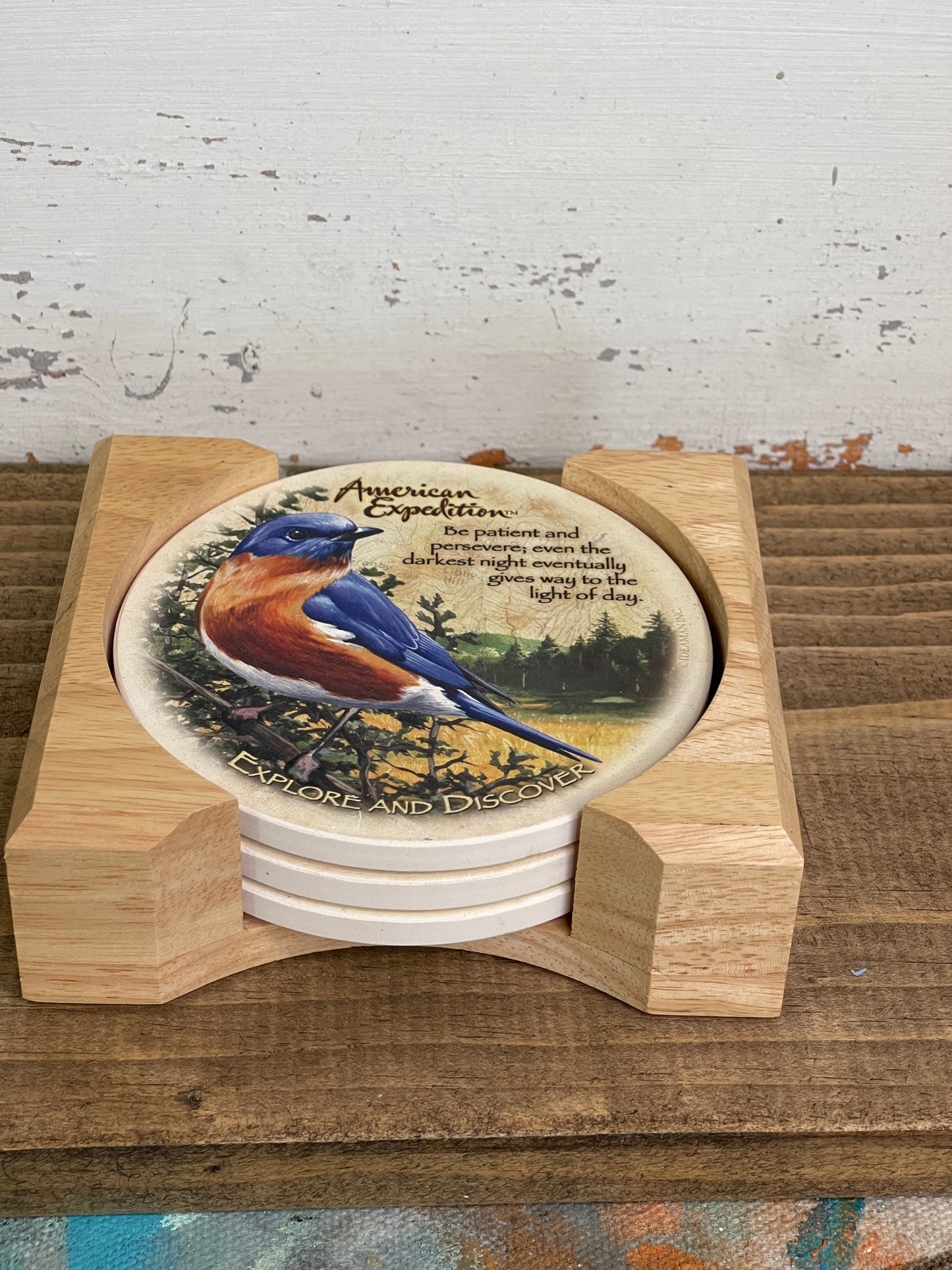 Bluebird Coasters - American Expedition (B2)