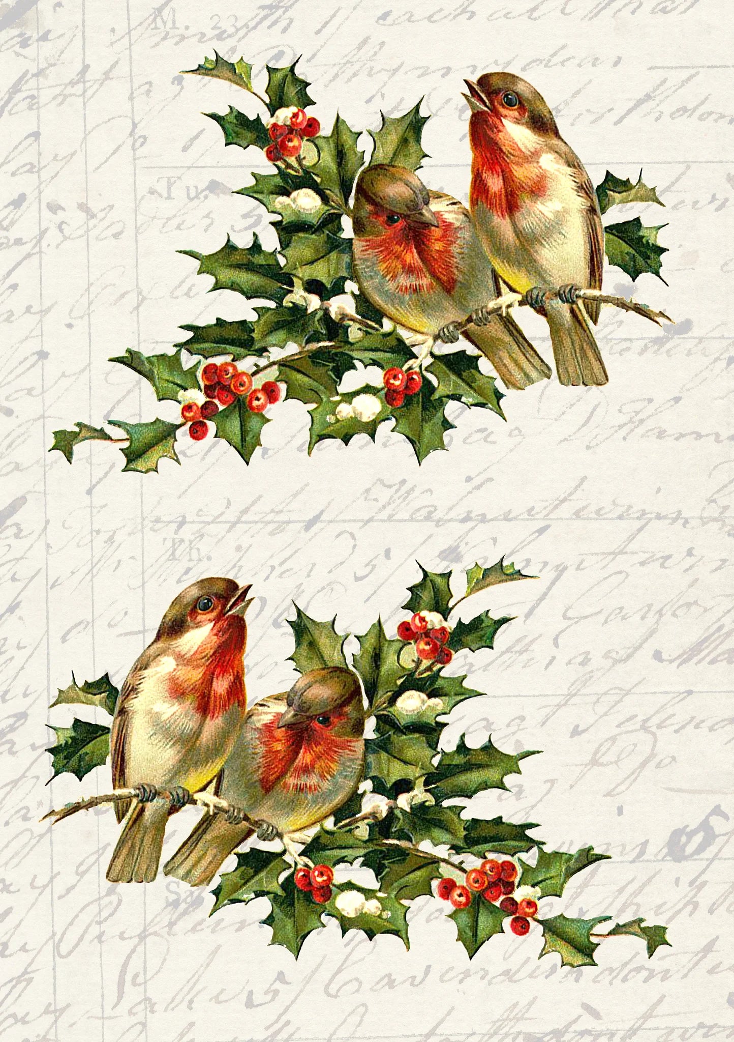 JRV A4 Rice Paper - Birds of Hollybranch