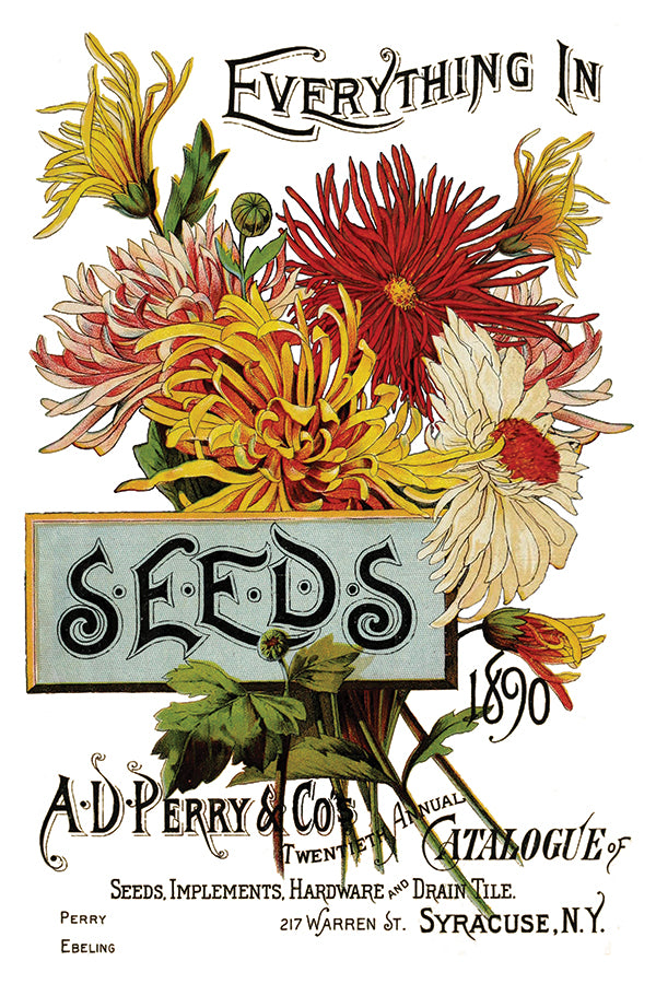 Seed Cataloge IOD TRANSFER 8×12 PAD™