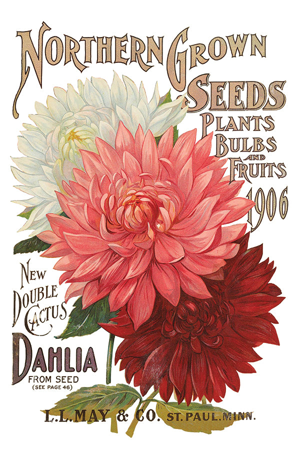 Seed Cataloge IOD TRANSFER 8×12 PAD™
