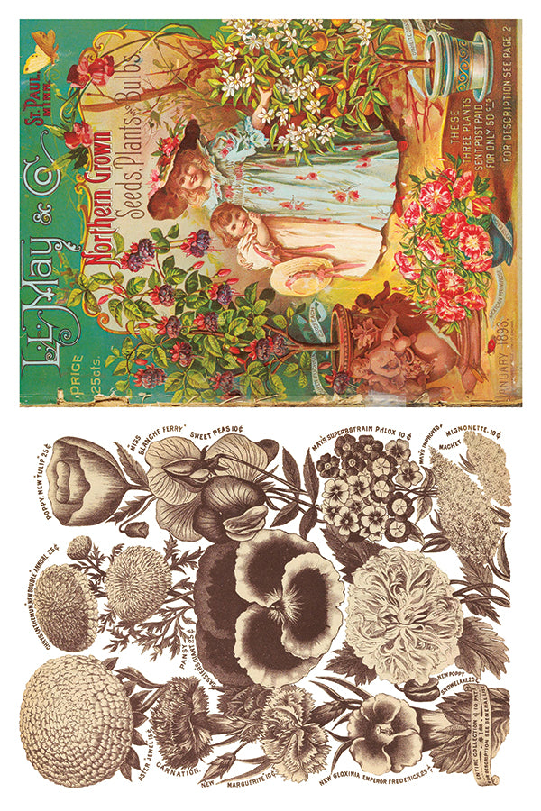 Seed Cataloge IOD TRANSFER 8×12 PAD™
