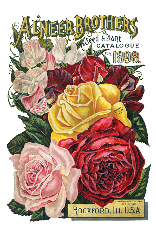 Seed Cataloge IOD TRANSFER 8×12 PAD™