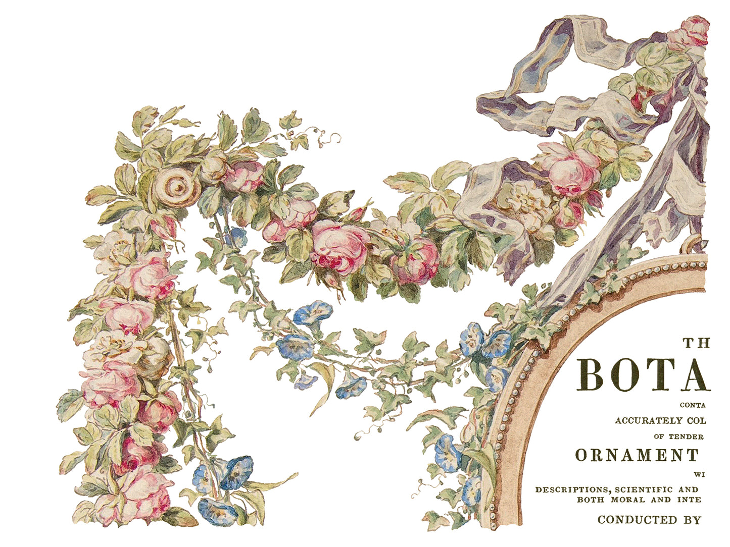 The Botanist IOD TRANSFER 12×16 PAD™