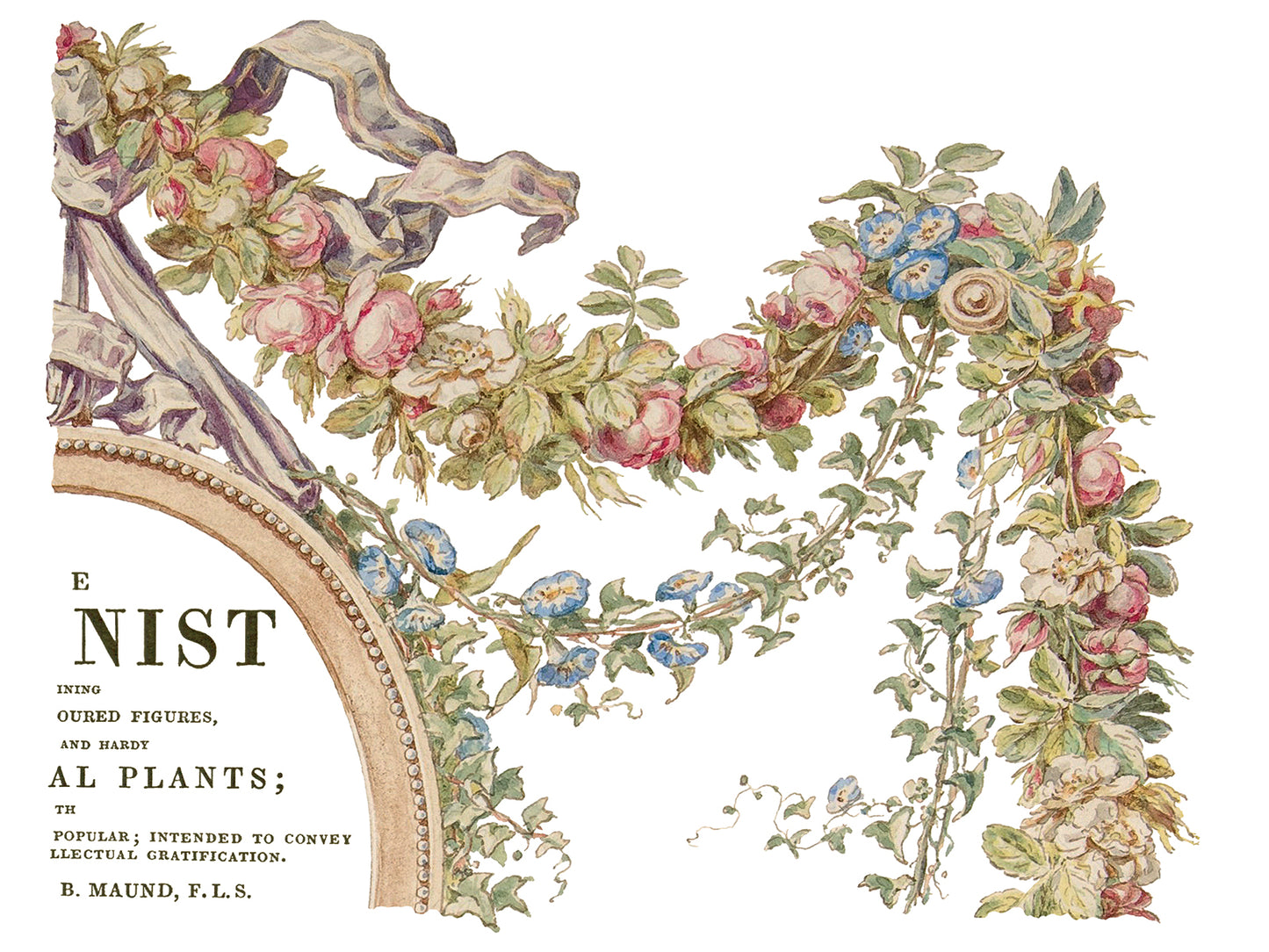 The Botanist IOD TRANSFER 12×16 PAD™