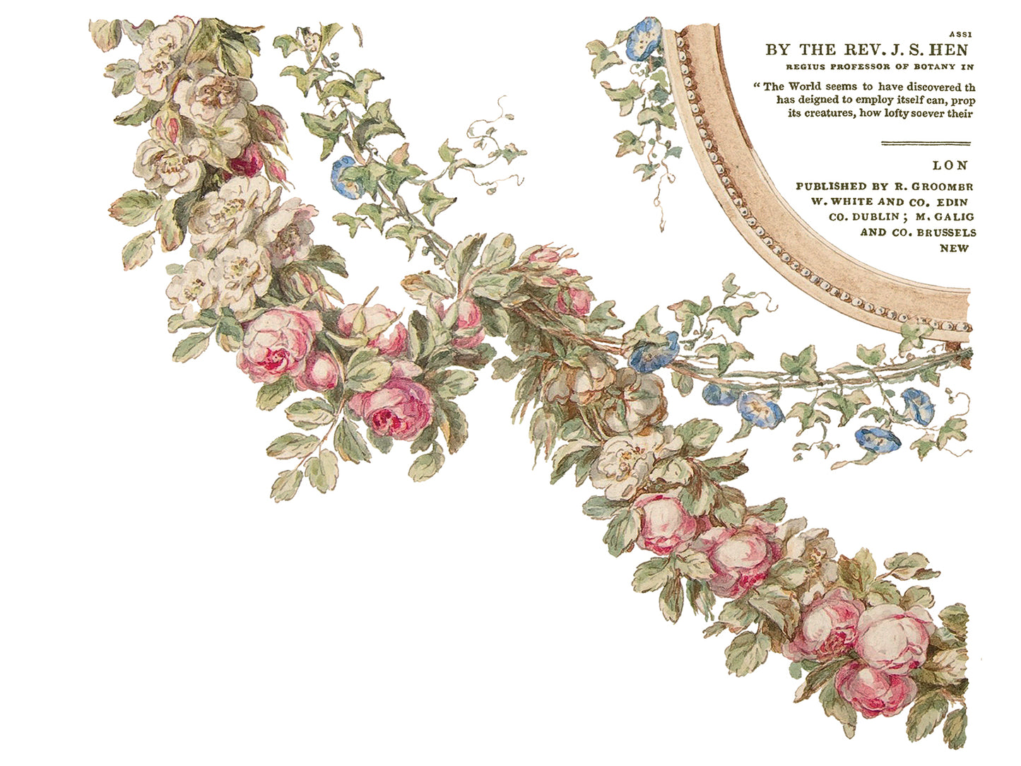 The Botanist IOD TRANSFER 12×16 PAD™