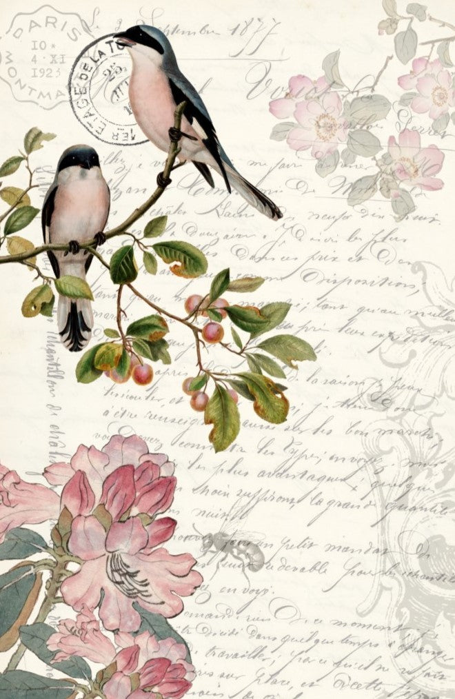 Roycycled Spring Bird Decoupage Paper