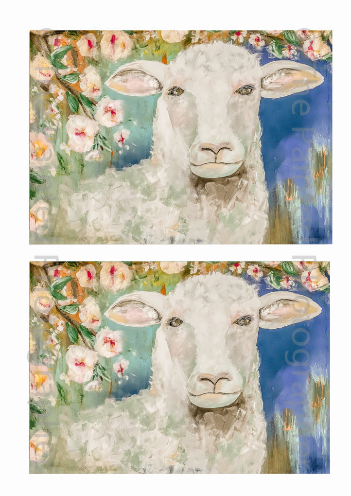 5x7 Sheep Blossoms - Connie's Spring Rice Paper