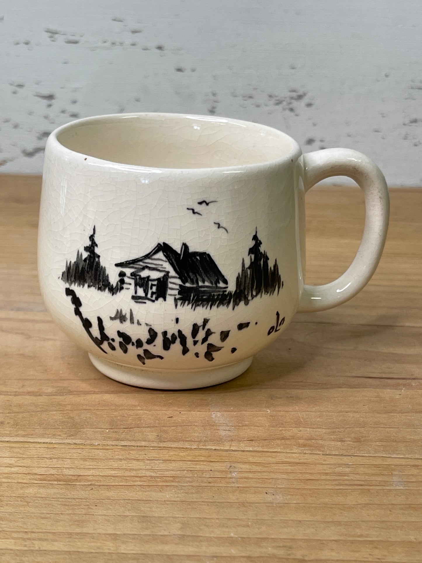 1205 Hand Painted Cup in Alaska