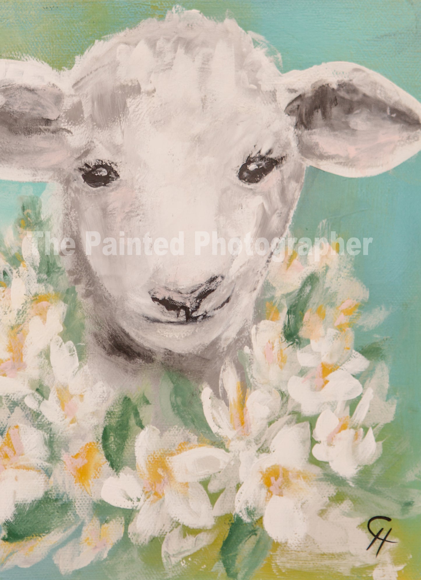 Spring Lamb - Lamb - Connie's Rice Paper