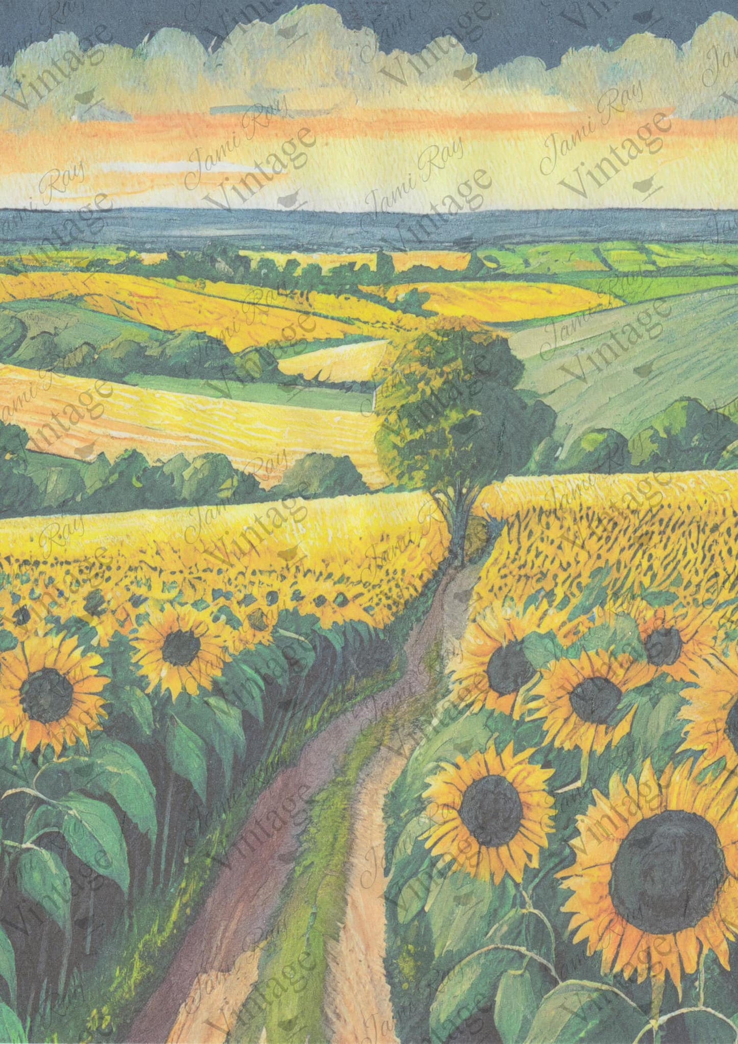 JRV A4 Rice Paper - Sunflower Fields