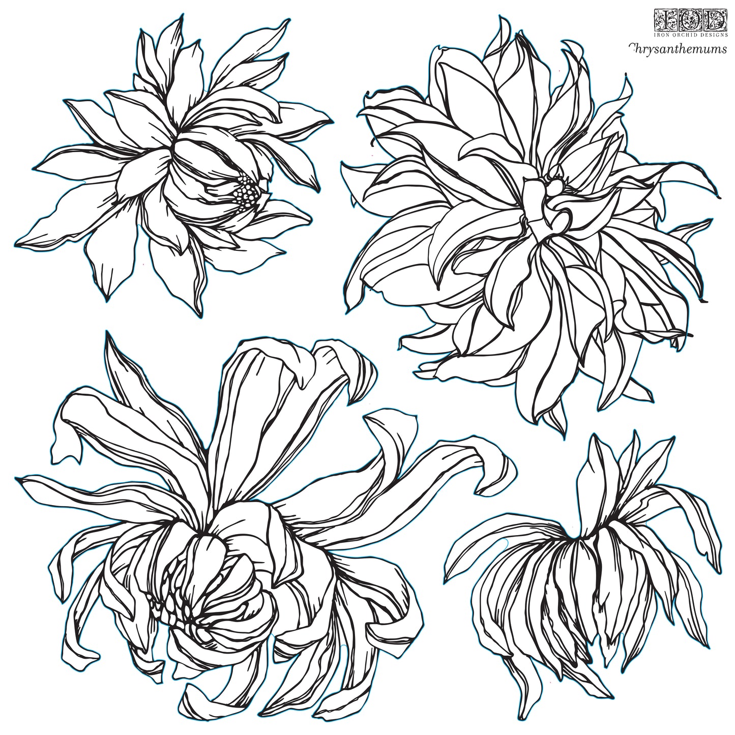 Chrysanthemum 12x12 Decor Stamp™