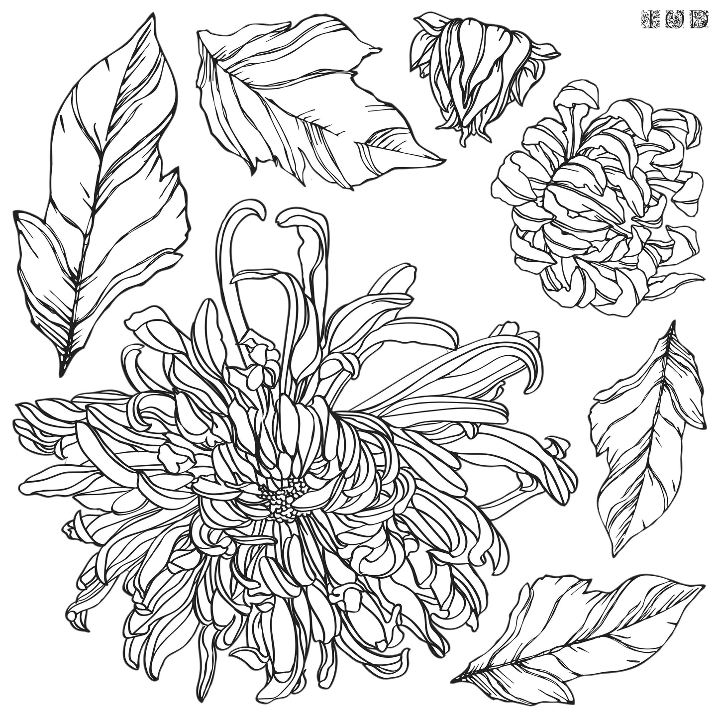 Chrysanthemum 12x12 Decor Stamp™
